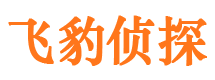 朗县寻人公司